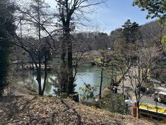 町田薬師池公園 四季彩の杜 南園(町田えびね苑)