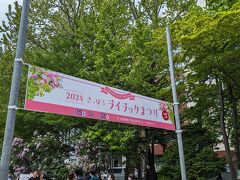 札幌駅から大通公園まで散策。
ライラックを見にきました。