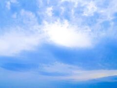 浜名湖花博12　浜名湖ガーデンパークi　静岡県の花-産業  45/    45