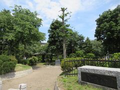 更に西に少し行くと、青い森公園があります。都会の公園で、日曜日で天気も良かったので地元の人たちが散歩に来ていました。