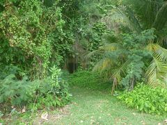 次にアガニアへ。
ラッテストーン公園と反対側のグアム裁判所の裏手にある、こちらの洞窟。
ぜーーーったい、自分では来ようと思わない、ジャングルの中（と言っても道路に面しているのですが）に入り口がポツンと空いてます。