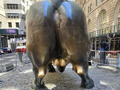 何の行列かわからないままとりあえず並んでみると、
チャージングブル。

金運アップを祈願して
皆さんと同じようになでなでしました（笑）。