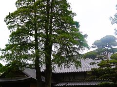 掛川-5　竹の丸　　　51/　　　２
