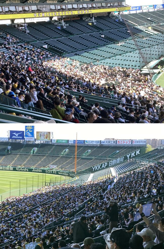 7月31日18時 甲子園 阪神vs巨人 グリーン上段通路側2席