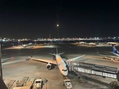 時間もあるし展望デッキへ。