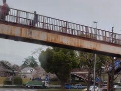 名古屋駅のバスターミナルから、メーグル。

観光地巡ってくれるのはうれしいけど、本数少ないし。

前は１日券買ったけど、なんだか使い勝手が悪いから、今日はPASMOで乗車。