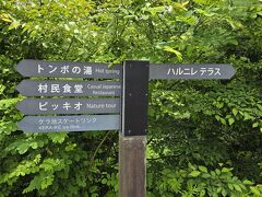 白糸の滝より山を下り、中軽井沢方面へ１０分位の位置にハルニレテラス
&#127359;️に停めて、遊歩道を散策
木々に囲まれた、素敵な遊歩道です。