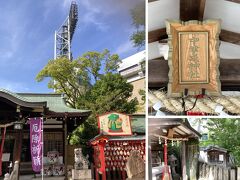 今日も勝利を願って、奥様は素戔嗚神社に参拝です。

何回も参拝している素戔嗚神社ですが、中津戎神社は額を見て初めて知りました。

本殿の隣にお稲荷さん、その隣に中津戎神社の祠がありました。

こちらの戎さんは、年代等は不詳ですが、和田岬の沖に現れた戎さんを、鳴尾村の漁師が祀っていたのですが、「西へ連れて行け」というお告げにより西宮神社に落ち着かれたといわれています。

最初に鳴尾村の隣、中津浜に祀られていた祠は、堤防工事の折に街中に移し、その後素盞嗚神社に移されたそうで、西宮神社の戎さんの始まりなのかもしれません。