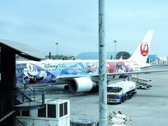 ゲートに行くとディズニー機が！