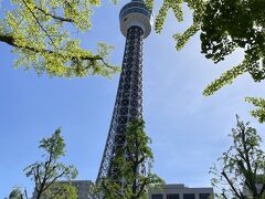 下りたところのドン・キホーテで飲み物と食べ物を購入して山下公園へ向かいます