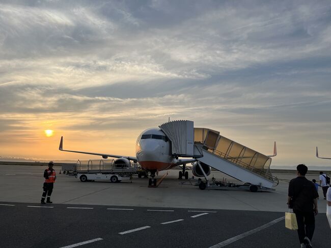 オレンジセール700円のチケットにて