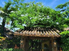 タクシーで１５分ほど走ってるうちにみるみる晴れて来て お店に到着した時にはこの天気。