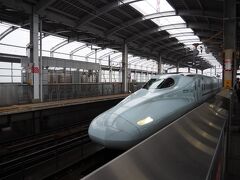 新幹線 さくら N700系 (8両編成)