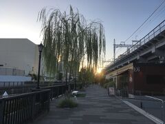 スカイツリーの脚元を流れる北十軒川の川沿いを、西へと向かいました。
川沿いにある商業施設、東京ミズマチに入り、遊歩道を歩いていきました。
左手には柳の木が立ち並び、ときおり右手の施設の上の高架を電車が走っていきます。
