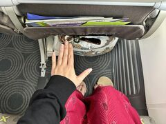 連日の大食いでしんどいのでギリギリまでお部屋で休み、少しだけ国際通り見物して解散となりました


帰りのソラシドエアはANAとのコードシェア便座席広すぎてこんなに甘やかされたらもう本当のLCC乗れなくなっちゃうから・・・



完