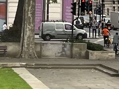 おお、
一瞬見えた！

バンクシーの
「Extinction Rebellion」
(小さな植物と抗議する少女)