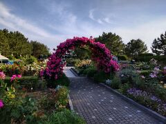 目的地の丘の上のばら園に到着。
アーチに仕立てられた薔薇がひときわ見頃。
コンパクトながら綺麗に手入れされていて好印象。