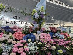 鹿児島空港から羽田空港へ

プライオリティパスで羽田ガーデンでビッフェを頂いた。とても美味しかった！
こんなお店が増えたらよいのに。

羽田空港第三ターミナルのディスプレイはすごい