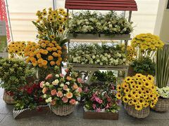 　小倉駅改札の中。綺麗なお花がいっぱい。しかも全部生のお花。豪華。薔薇が並ぶとか、ひまわり畑とかは見ることはあるけれど、クルクマがこんなに沢山。クルクマって福岡でも育ててるの？