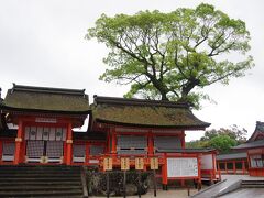 ところが「南中楼門・申殿・東西廻廊保存修理工事」が行われていて、令和７年３月末までは参拝が出来ないそうです。
