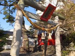ホテルの脇の弁天神社。
しめ縄がちょっとおもしろい形。
