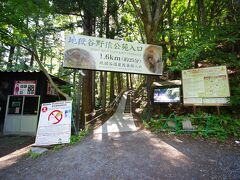 8時30分開園の地獄谷野猿公苑に合わせて到着。無料駐車場からは25分ほどの道のりですが、道中平坦で日陰が多く歩きやすかったです。