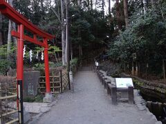 神社があります。池になってます。
むこうは崖。
この崖（国分寺崖線）から湧き出た水がたまった池、なんですね。