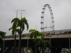 アジア最大級の「シンガポールフライヤー」

雨宿りしながら、お写真撮ってたけどカメラが濡れるのが怖いよ～