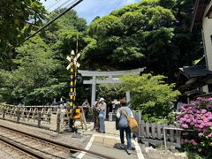 御霊神社(神奈川県鎌倉市)
