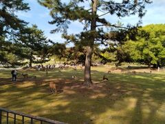 奈良公園