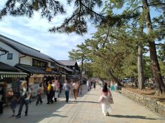 奈良公園