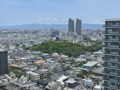 堺市役所の最上階から古墳を見下ろすことができるのだ　反正天皇陵が見えます
古墳は近くから見てるだけでは単なる森なので上から…と思ったが21階から見ても森ですね