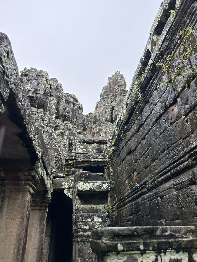 みなさま、にっこり顔☺️<br /><br />ほっこりしますね^ ^