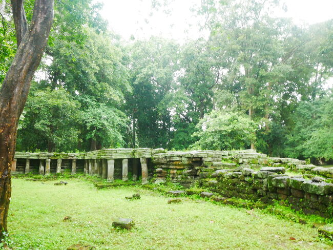 ピミアマカスから歩いてすぐのところには<br />有名な象のテラスがあります。<br /><br /><br />王様との謁見の場所だったと言われている<br />象のテラスですが、<br />その王宮は今はもう残っていません。<br /><br /><br />門だけ残っている感じです。