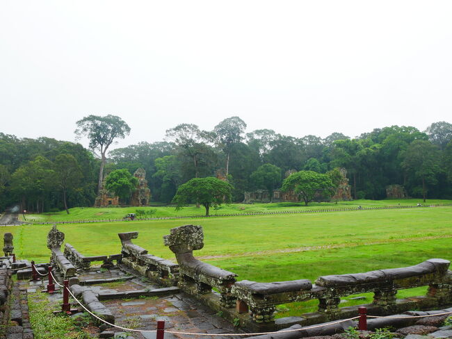 で、こちらが前から見た象のテラス🐘