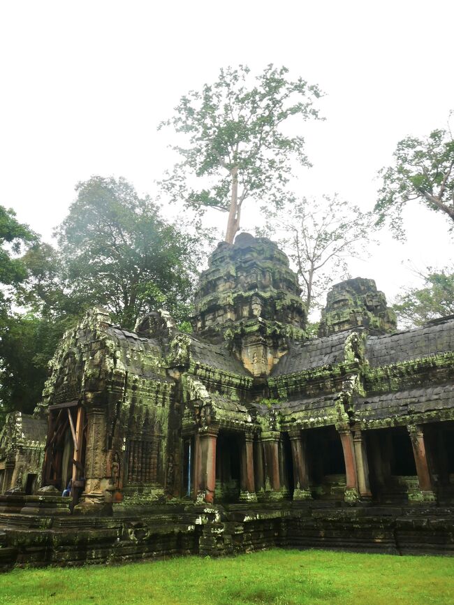 普段はとても混雑している人気の遺跡ですが、<br />この日は雨だったこともあり、<br />とても空いていました！