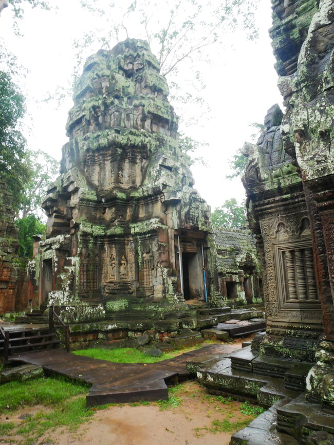 回廊の屋根の上に種が落ちて、<br />そこから芽が出て根を伸ばして…<br /><br />今の形になるまでの時間の流れを感じます。<br />