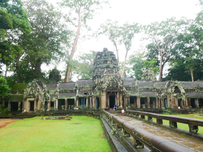 ちょっと前の映画ですが、<br />「トゥーム・レイダー」の撮影場所としても<br />知られているスポットです。<br /><br />遺跡内はかなり迷路状態(^◇^;)<br /><br /><br />ガイドさんを見失わないように<br />気をつけつつ、写真撮影も！📷<br /><br /><br />あえて修復を止めている…というこの遺跡は<br />樹齢300～400年になる大木と<br />全体的に生えている苔とで、<br />とても神秘的な雰囲気です。