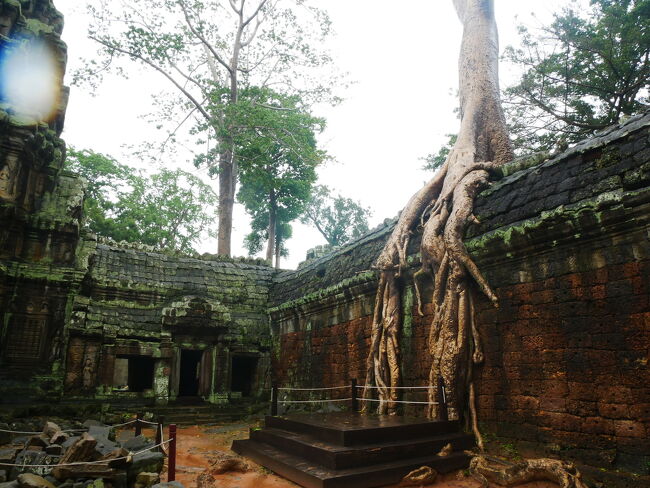主な建築材料としてはここも砂岩が使われています。<br /><br />周壁や住居建築にはラテライトが<br />用いられているそうです。