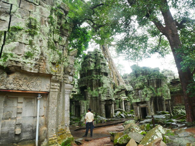 ちなみに、よくガイドブック等で<br />取り上げられている、<br />木の根の隙間から覗いている女神は<br />木が枯れて崩壊してしまったそう。<br /><br />今はもう見られないとのことでした。