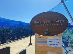Blueberry Farm Tokyo