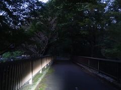 東京都東村山市にある北山公園の菖蒲が見頃とのことで、見に行こうと思い立ち、なぜか夜の狭山丘陵のサイクリングロードを歩いています。というのも、どうせあっち方面に行くなら、ついでに私のお気に入りの日の出スポット、山口貯水池で日の出を見るかぁと思いついちゃったからなんです。「ついで」で、徒歩１時間ちょっとかかる場所で日の出？頭おかしいんじゃないの？…というご意見は甘んじてお受けいたします。自覚あります。車は野山北公園近くのコインパーキングに停めさせていただきました。