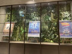 劇団四季の「アナと雪の女王」夜公演に。