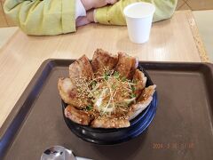 いつもはジンギスカンなのですが・・今回は豚丼にしてみました。