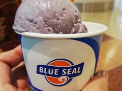 思えば、店舗では購入して食べていなかったブルーシールアイス。

ターミナル内が暑かったというのもあり、旅の締めにいただきました！！


王道のウベと塩ちんすこうのダブル！やっぱりおいしー♪


次回は沖縄の店舗で見かけたソフトクリームを食べてみたいなぁ。