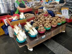 西帰浦毎日オルレ市場
うーん物価は高い
