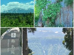 美女平から室堂平に向かうバスの車窓からの景色です♪
仙洞杉は幹の周りが10m以上もある大木です♪
称名滝は定番ですね、くっきりと見えました♪