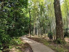 続いて東山旧岸邸。とらや工房の隣にあります。新緑の小道をぬけていくと、