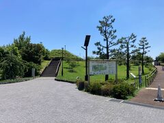 目指す二子玉川公園。多摩川通りをトンネルにしてその上に公演を造成、多摩川に面したプロムナードに紫陽花並木を最近植えたらしい。
