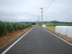 朝ドラで有名なシュガーロード
集落につながる道